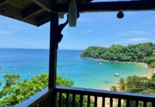 Guía Completa de Tobago: Las Mejores Cosas que Hacer y Ver Guía Completa de Tobago: Las Mejores Cosas que Hacer y Ver