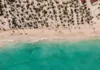 Lo básico sobre Punta Cana y Bávaro: una de las 10 mejores playas del mundo Lo básico sobre Punta Cana y Bávaro: una de las 10 mejores playas del mundo